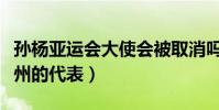 孙杨亚运会大使会被取消吗(孙杨已经不是杭州的代表)