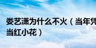 娄艺潇为什么不火(当年凭借一个角色而跻身当红小花)