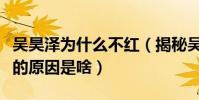 吴昊泽为什么不红(揭秘吴昊泽出道多年不红的原因是啥)