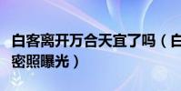 白客离开万合天宜了吗(白客与女友酱婶儿亲密照曝光)