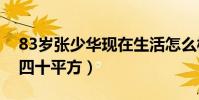 83岁张少华现在生活怎么样(她的房子只有四十平方)