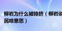 柳岩为什么被排挤(柳岩说自己不是公主是平民啥意思)
