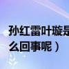 孙红雷叶璇是真的吗（网曝孙红雷睡了叶璇怎么回事呢）