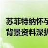 苏菲特纳怀孕结婚多久了（苏菲特纳老公是谁背景资料深扒）