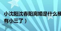 小沈阳沈春阳离婚是什么梗(网曝小沈阳外面有小三了)