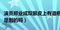 演员郑业成双眼皮上有道疤(郑业成的双眼皮是割的吗)