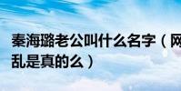 秦海璐老公叫什么名字(网曝秦海璐的感情混乱是真的么)