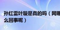 孙红雷叶璇是真的吗(网曝孙红雷睡了叶璇怎么回事呢)