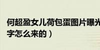 何超盈女儿荷包蛋图片曝光(何超盈的女儿名字怎么来的)