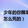 少年的你魏莱的案子有疑点（起底魏莱究竟是怎么死的）
