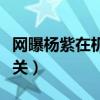 网曝杨紫在机场被人用花砸（原因却跟邓伦有关）
