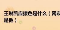 王琳凯应援色是什么(网友:人小鬼大说的就是他)