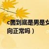 c菌到底是男是女（网红c君男的女的c君的工作是什么性取向正常吗）