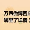 万茜微博回应车祸受伤骨折（万茜出车祸伤到哪里了详情）