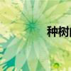 种树的故事告诉我们什么？