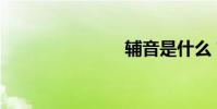 辅音是什么?