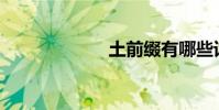 土前缀有哪些词?