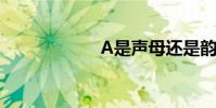 A是声母还是韵母?