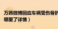 万茜微博回应车祸受伤骨折(万茜出车祸伤到哪里了详情)