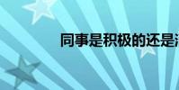 同事是积极的还是消极的?