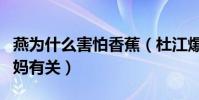 燕为什么害怕香蕉(杜江爆料这竟和霍思燕妈妈有关)
