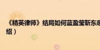 《精英律师》结局如何蓝盈莹靳东感情戏(精英律师剧情介绍)