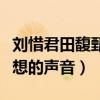 刘惜君田馥甄什么梗（揭秘刘惜君为何退出梦想的声音）