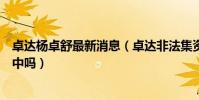 卓达杨卓舒最新消息(卓达非法集资杨卓舒老婆儿子牵涉其中吗)