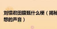 刘惜君田馥甄什么梗(揭秘刘惜君为何退出梦想的声音)