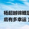 杨超越锦鲤是什么梗（出道就成为全民女神到底有多幸运）