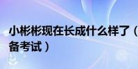 小彬彬现在长成什么样了(像普通学生一样准备考试)