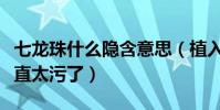七龙珠什么隐含意思(植入七龙珠什么意思简直太污了)