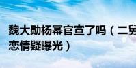 魏大勋杨幂官宣了吗(二舅沈腾意外说漏二人恋情疑曝光)