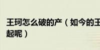 王珂怎么破的产(如今的王珂是否还能东山再起呢)