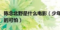 陈念北野是什么电影(少年的你揭秘校园霸凌的可怕)