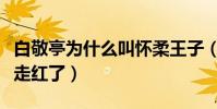 白敬亭为什么叫怀柔王子(爱鞋如命的他终于走红了)