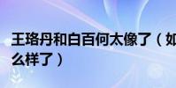 王珞丹和白百何太像了(如今她们两人到底怎么样了)