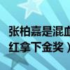 张柏嘉是混血吗（凭借麻辣女兵林子木一角走红拿下金奖）