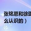 张铭恩和徐璐什么时候分手的（张敏恩徐璐怎么认识的）