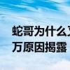 蛇哥为什么又回虎牙了（蛇哥为什么欠6000万原因揭露）