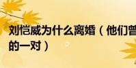 刘恺威为什么离婚(他们曾经是被网友们最看的一对)