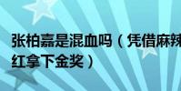 张柏嘉是混血吗(凭借麻辣女兵林子木一角走红拿下金奖)