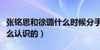 张铭恩和徐璐什么时候分手的(张敏恩徐璐怎么认识的)