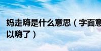 妈走嗨是什么意思(字面意思妈妈一走我就可以嗨了)