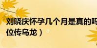 刘晓庆怀孕几个月是真的吗(出行坐高铁坐错位传乌龙)