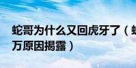 蛇哥为什么又回虎牙了(蛇哥为什么欠6000万原因揭露)