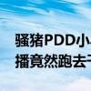 骚猪PDD小马恩断义绝是真的吗（PDD不直播竟然跑去干这个）