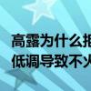 高露为什么拒绝苏有朋（虽然演技不俗但是太低调导致不火）