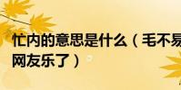忙内的意思是什么(毛不易不懂忙内在线发问网友乐了)