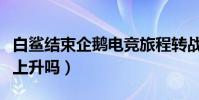 白鲨结束企鹅电竞旅程转战斗鱼(他的人气会上升吗)